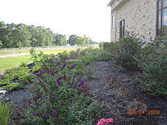  Landscaping Project - Houseside Mulch Beds 